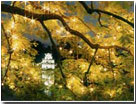 http://todeco-vn.com/uploads/Hanoi.jpg