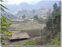 http://todeco-vn.com/uploads/babe.jpg