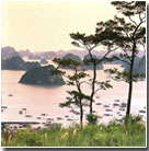 http://todeco-vn.com/uploads/baitulong.jpg