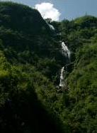 http://todeco-vn.com/uploads/gorbe2.JPG