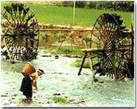 http://todeco-vn.com/uploads/hagiang.jpg